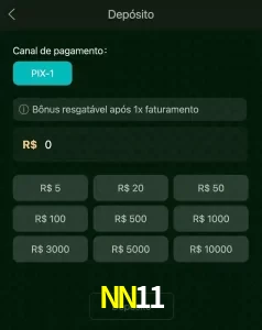 deposits NN11